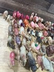Huge Vintage Lot Of 120 German Celluloid Farm Animals Lions Camels Cows
