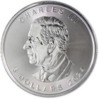 2024 Canada  5 1 Oz Silver Maple Leaf Bu Brilliant Uncirculated Coin