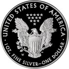 American Silver Eagle Coin Proof 1 Oz  1 - Coin In Capsule - Random Date