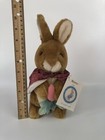Vtg Eden Mopsy Bunny Peter Rabbit Plush Beatrix Potter Brown Red Cape Carrot Tag