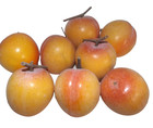 Artificial Fake Faux Fruit Apples Peaches Lifelike Home Decor Lot 11 Pcs
