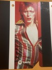 Mint Condition Limited David Bowie Is Metrocard Mta Nyc Subway Expired Red Vers