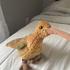 Extremely Rare Ty Beanie Babies Beak The Kiwi With Errors Mistakes 