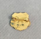 Vintage Fraternal Order Of The Eagles Enamel Ladies Auxiliary Pinback Foe Pin