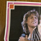 Andy Gibb Bee Gees Poster Donruss 10 5 x15  - Original 1978 - Poster  35  of 42 