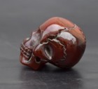 Natural Horn Carved Skull Statue Fugurine Collectables Chain Pendant Bead