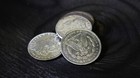 Morgan Silver Dollar Single Coin - Circulated Ungimmicked