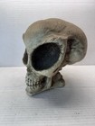 Alien Skull Area 51 Roswell Ufo Resin Sculpture 8 5   