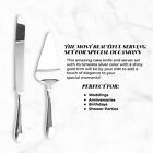 Stainless Steel Cake Knife And Server Set  Silver Cake Cutter And Pie Spatula