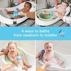 Fisher-price Baby To Toddler Bath 4-in-1 Slingn Seat Tub 2 Toys Puppy Perfection