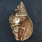 Victorian Silver Floral Conch Shell Snuff Box - Free Shipping Usa