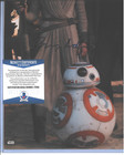 Daisy Ridley Autograph Beckett Witness 11x14 Auto Signed Topps Star Wars Rey