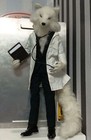 Hansa Wolf Doll Medical White Coat Articulated Poseable Plush Toy 36cm