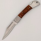 Pocket Knife   4in Closed Stainless Steel Folding Blade Wood Handle Lockback Edc