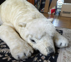 Vintage 1990s Steiff Giant Huge Oversized Jumbo Plush Polar Bear Fao Schwarz Ny