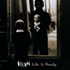 Korn Life Is Peachy Banner 2x2 Ft Fabric Poster Tapestry Flag Album Cover Art