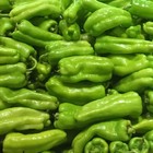Cubanelle Pepper Seeds  Mild Flavor  Productive Plant  Non-gmo  Free Shipping