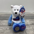 Limited Treasures Coin Bear  Virginia With State Quarter  Collect All 50  mm 