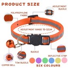 6-pack Reflective Cat Collars Bell Breakaway Safety Nylon Adjustable Mixed