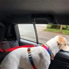 1 Pc Adjustable Dog Car Seat Belt Harness     Pet Travel Safety Accessory  Black