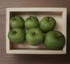 Set Of 6 Artificial Apples Pottery Barn Realistic Plastic Decorative Fruit Green