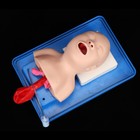 Airway Management Trainer Intubation Manikin Baby Infant Teaching Lab Model New