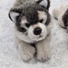 Lot Of 2 Yomiko Classics Plush Stuffed Animal Wolves  Kent Wolf Gray Russ Berrie