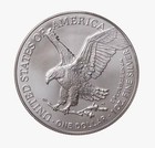 1 Oz- Am Silver Eagle 1 bu   24kt Gold Gilded   In Holder  different Dates 