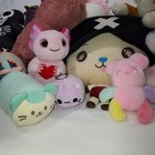 Plush  Gently Pre-loved 13pc Lot Of Small To Medium Stuffed Animals   Characters