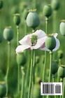 Growing Opium Poppies Seeds  The Complete Guide To Growing  Harvesting  And Util