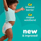 Pampers Baby Dry Ultra Baby Diapers Size 3  164 Count