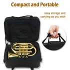 Golden Lacquered Brass Bb Trumpet Set With Sturdy Case And Mouthpiece