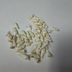 Lot Of 50 Assorted Small Coyote Teeth Real Cleaned Taxidermy Weird Odd Goth 3852