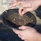 Black 8 Inch Gold Mining Pan For Gold Prospecting 2 Riffle Types