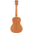 Cordoba 15c Concert Ukulele  Sea Sky 197881479602 Rf