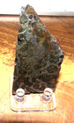 47 Gm Sericho Pallasite Meteorite Slice F  Kenya Stand Olivine 5 Sides