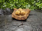 Old Rare Vintage Antique Civil War Relic Confederate Cannonball Frag 3 Case Shot