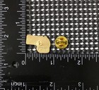 Vintage Calgary Zoo Panda Bear Maple Leaf Canada Travel Souvenir Lapel Hat Pin