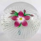 Perthshire 1984d Floral Spray Pink Lampwork Flower Spiral Latticinio Paperweight