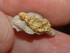 Gold Quartz Specimen 2 Grams California Pocket Gold