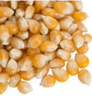 Large Yellow Butterfly Popcorn Kernels  Non-gmo Made In Us