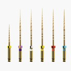 Dentsply Protaper Gold Rotary Pack Of 6 Files Sx s1-s2 f1-f5 25mm