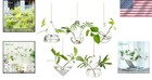 Creative 5-shaped Glass Hanging Planters - Elegant Propagation Stations