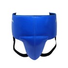 Rival Groin Protector Rnfl3 Pro Protector 180 Blue Size M - New