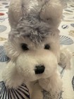 Ganz Webkinz Husky Hm120 Puppy Plush Stuffed Animal Dog Wolf 8    Soft Toy No Code