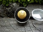 Old Rare Vintage Antique Relic War  Massachusetts Uniform Cuff Button Free Case