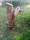 Driftwood   Aquarium D  cor   Terrarium reptile Tank aquascaping planted Aquarium