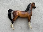 Stunning Peter Stone Horse    ea Khlassix    Matte Bay Arabian Show Sr 50