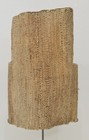 Papua New Guinea Orchid Stem Body Armor Vest