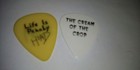 Korn 2 Guitar Pick Set Brian Head Welch 1996 Life Is Peachey Tour   Cream Crop